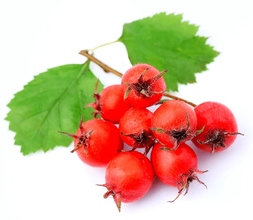 Hawthorn em Tonerin
